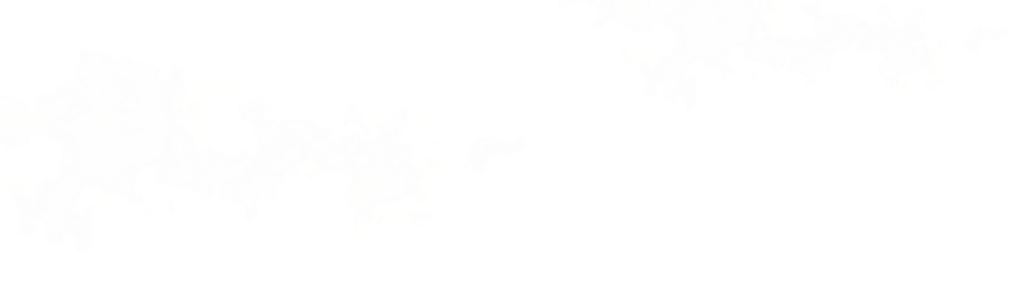 fog